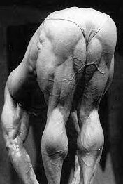 Pose de la luna de Tom Platz